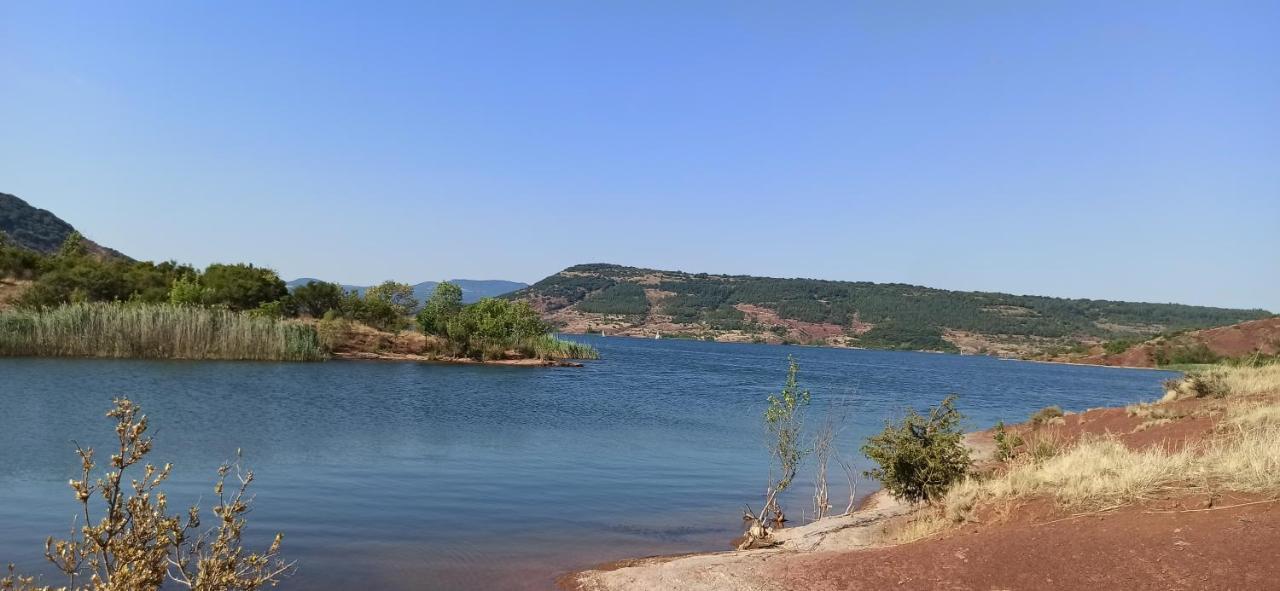 A L'Ombre Du Bananier Villa Neffies Kültér fotó
